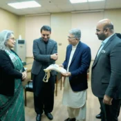 Public-education-in-Punjab 1