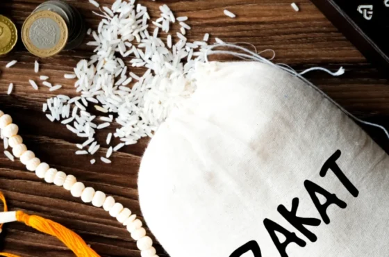 What Is Zakat? Meaning, Rules, and Importance in Islam