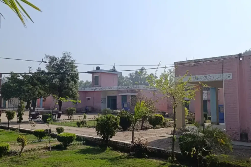 First School Transformation